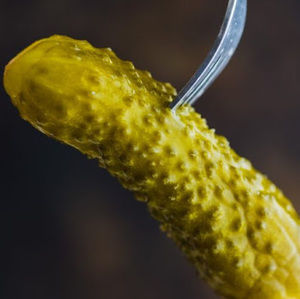 Meet your Posher, Dylan